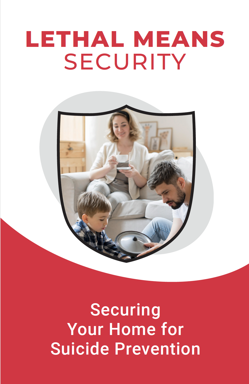 Lethal Means Security brochure